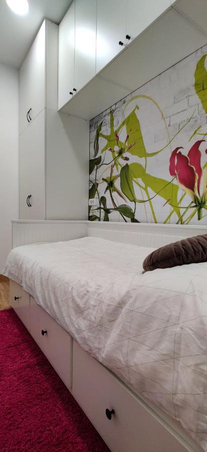 Lux Center Of Belgrade 2 Bedrooms, Sleeps 6 - Free Parking 外观 照片